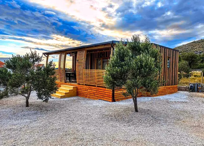 Camp Ante-gojko * Гребастика